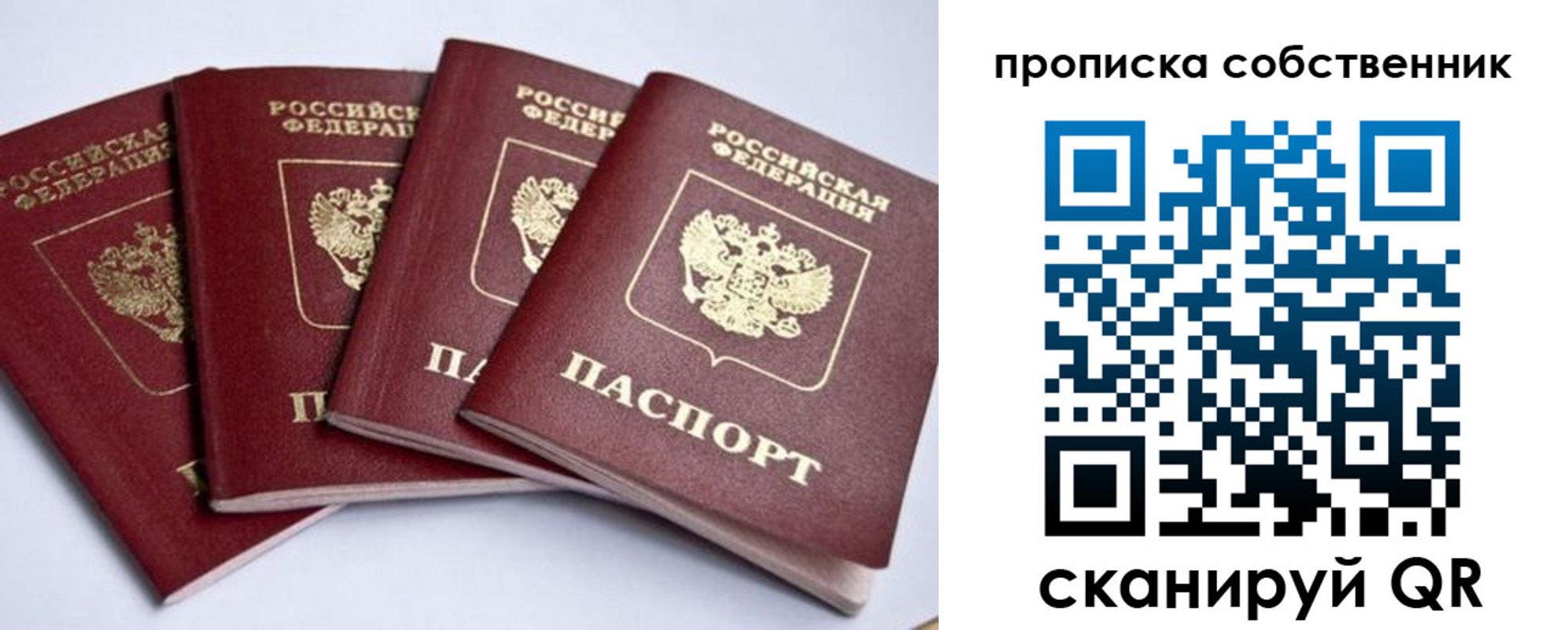 прописка для школы в Московской области