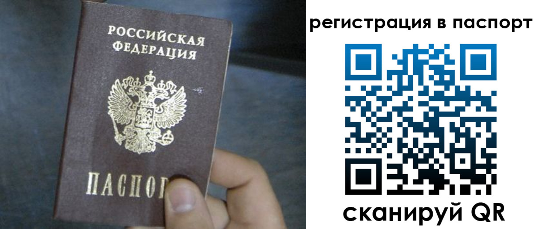 прописка 2025 в Московской области